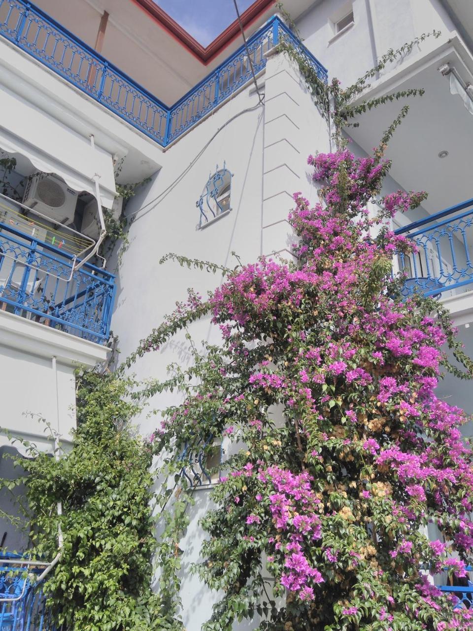 אמודיה Ionio Gastronomy Suites מראה חיצוני תמונה